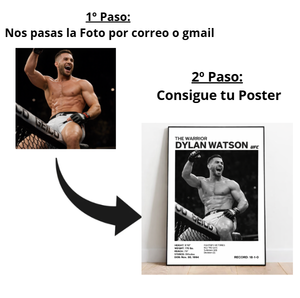 Posters de luchadores