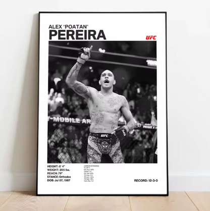 Posters de luchadores