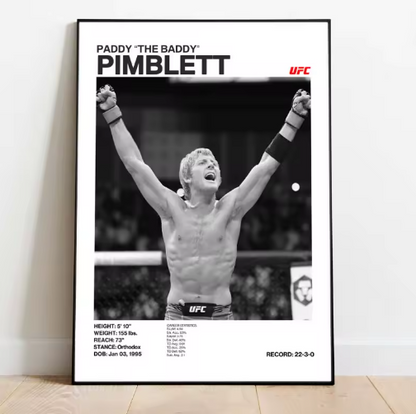 Posters de luchadores