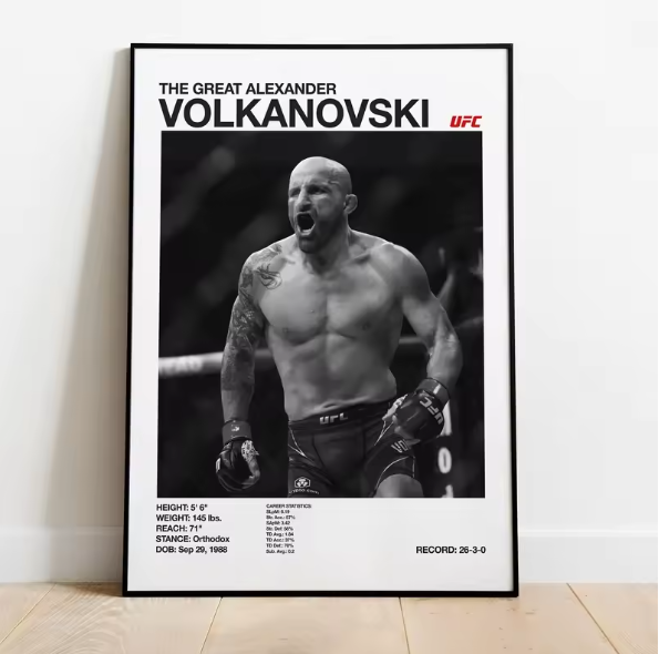 Posters de luchadores