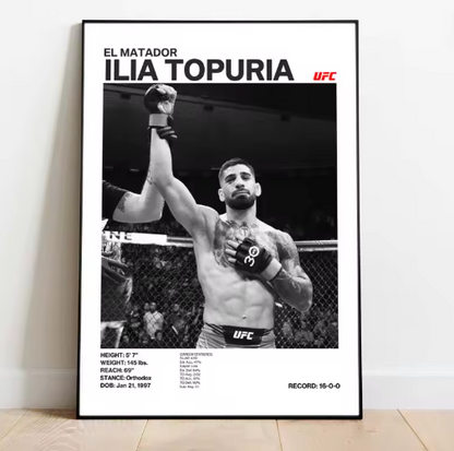 Posters de luchadores