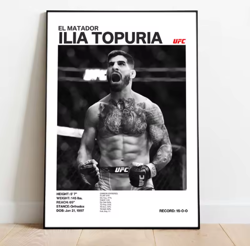 Posters de luchadores