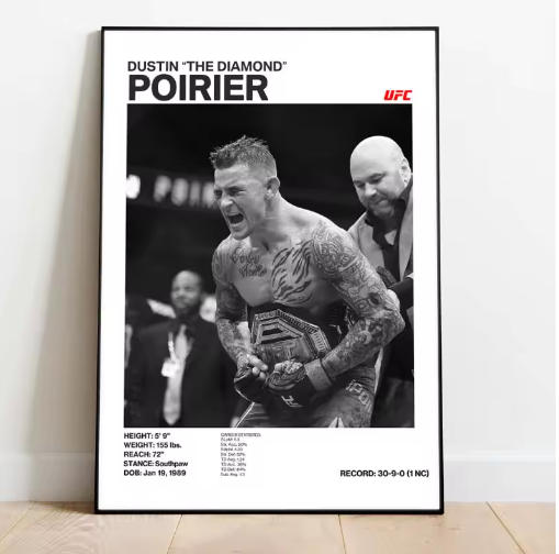 Posters de luchadores