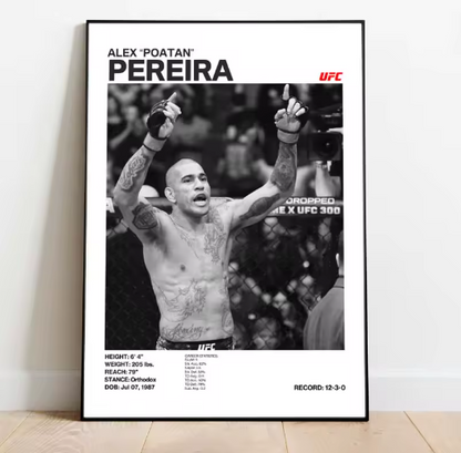 Posters de luchadores