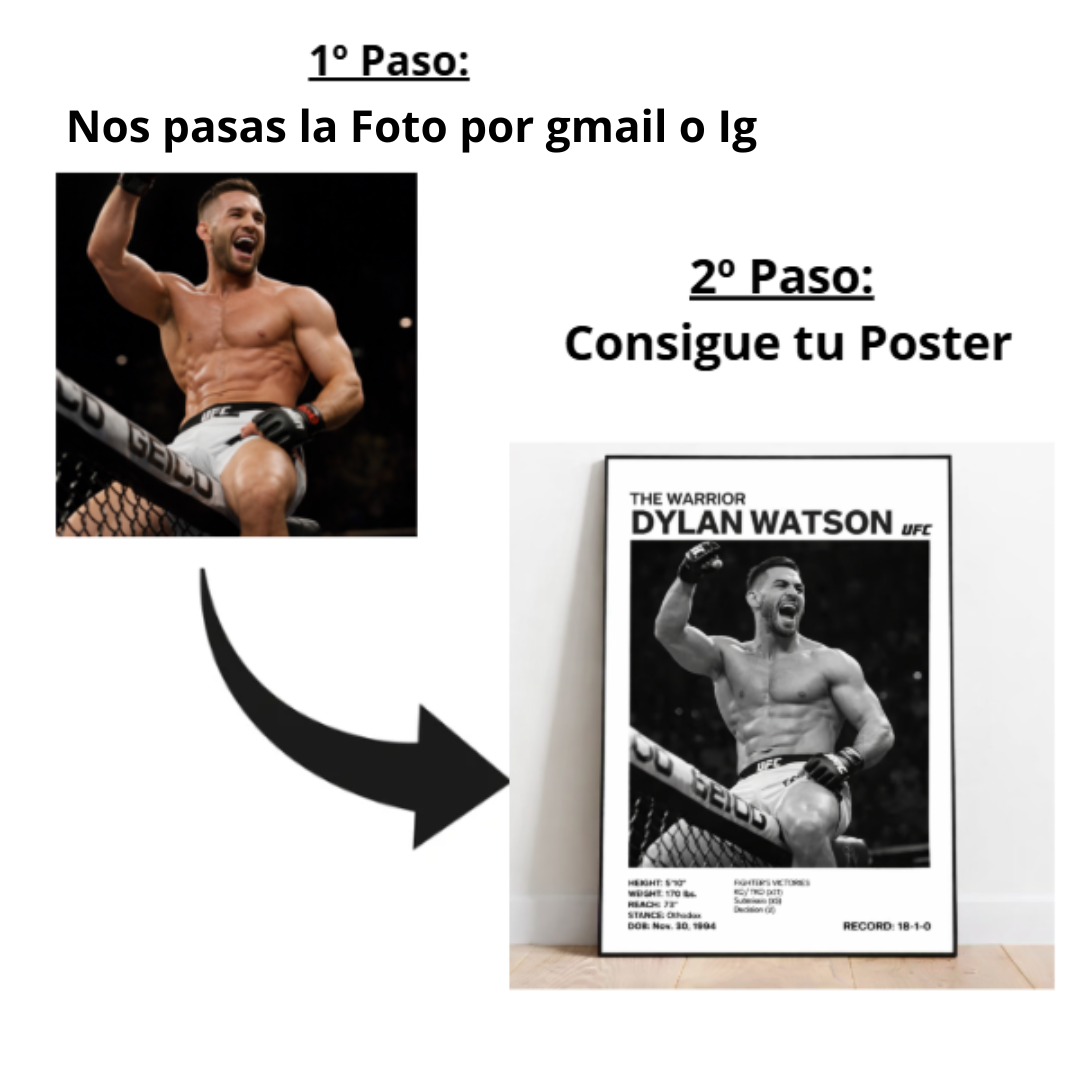 Posters de luchadores